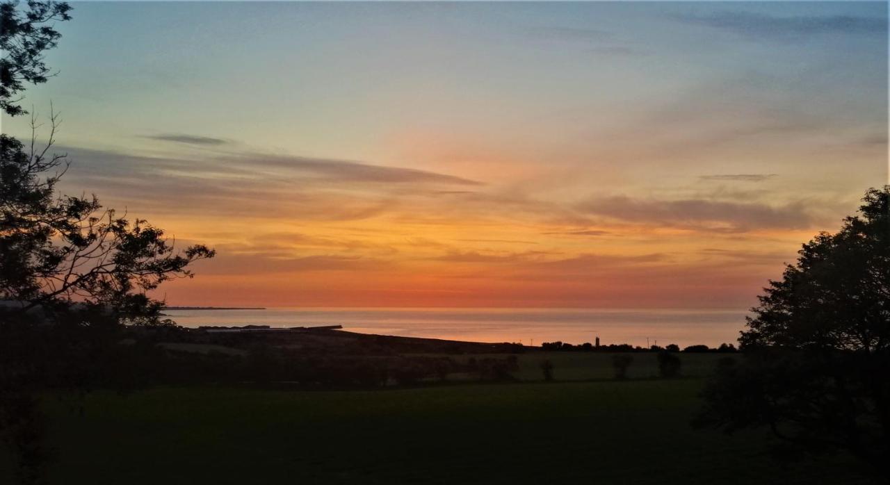 Moneylands Farm B&B Arklow Exterior foto