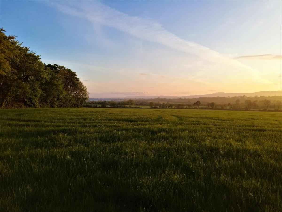 Moneylands Farm B&B Arklow Exterior foto