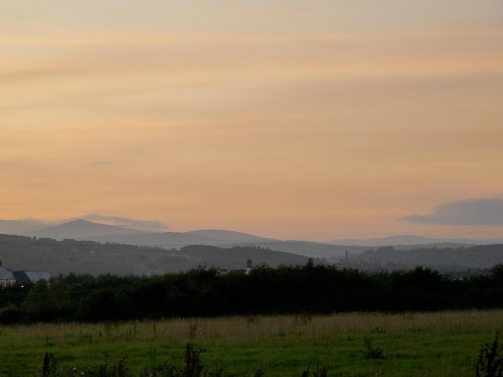 Moneylands Farm B&B Arklow Exterior foto